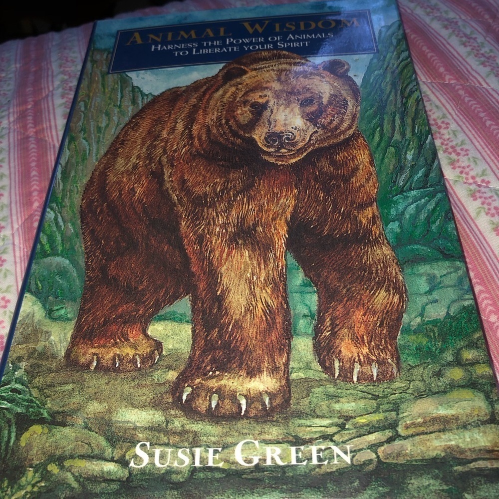 Animal Wisdom Book by Susie Green